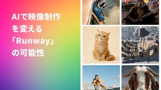 概要画像