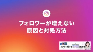 概要画像